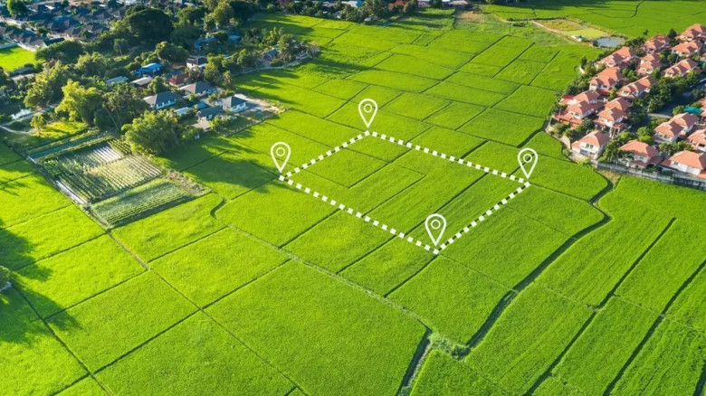 এক শমসেরই হাতিয়েছেন সরকারের ১৯৪টি প্লট